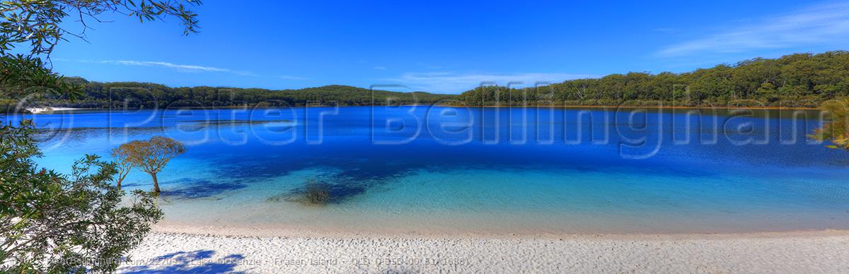 Peter Bellingham Photography Lake McKenzie - Fraser Island - QLD (PB5D 00 51A1688)